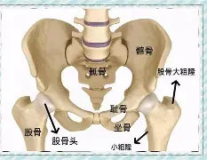 关于舥眠q?骻?~po|L賣穏?澚轛N啃绵T猠鈆囫?驳8卖zR